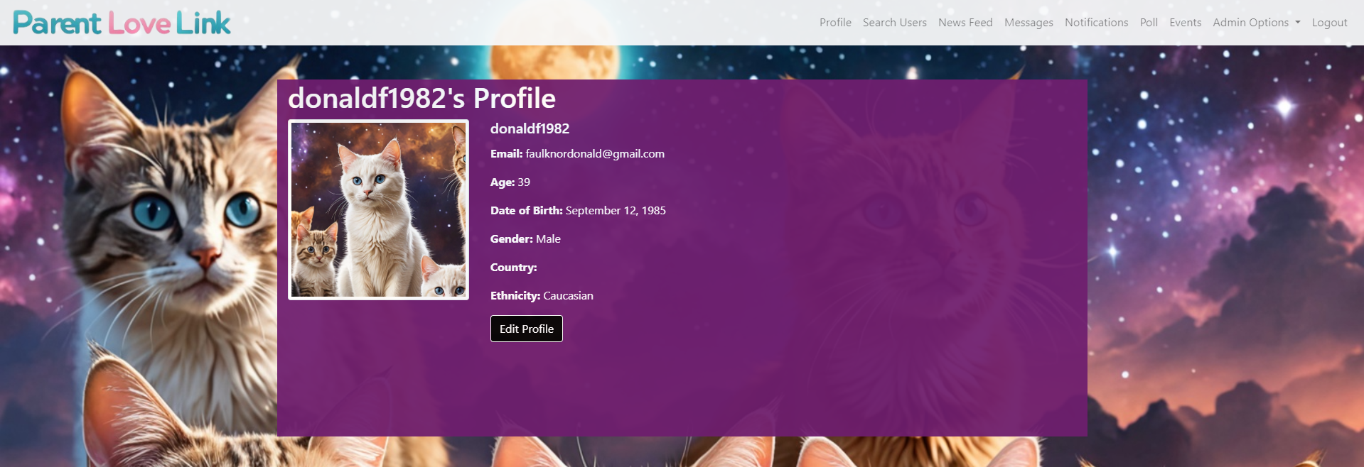 Profile Themes